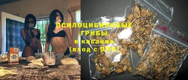 кокс Аркадак