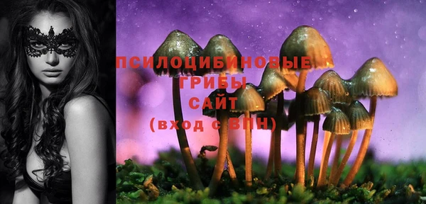 кокс Аркадак