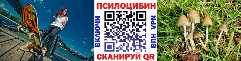 Галлюциногенные грибы Cubensis  Белокуриха 
