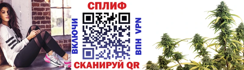 Бошки Шишки гибрид Белокуриха